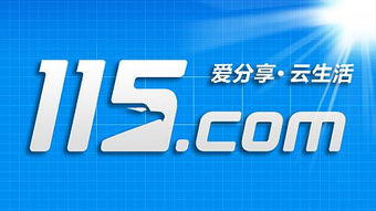 草根转身，步履艰难 雨林木风德阳网络信息科技的发展之路